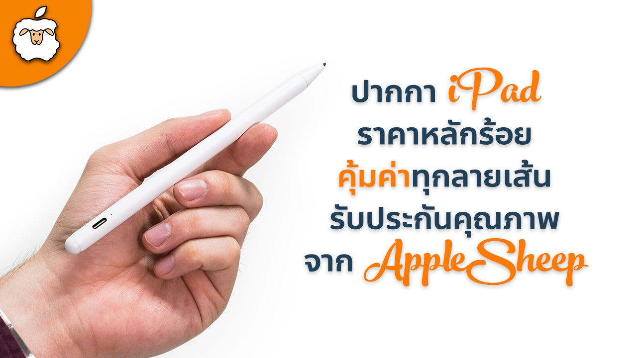 Stylus For iPad / ปากกา iPad ราคาประหยัดที่ดีที่สุดในปี 2019 ( iPad Pro /iPad Air/ iPad Mini/iPad )
