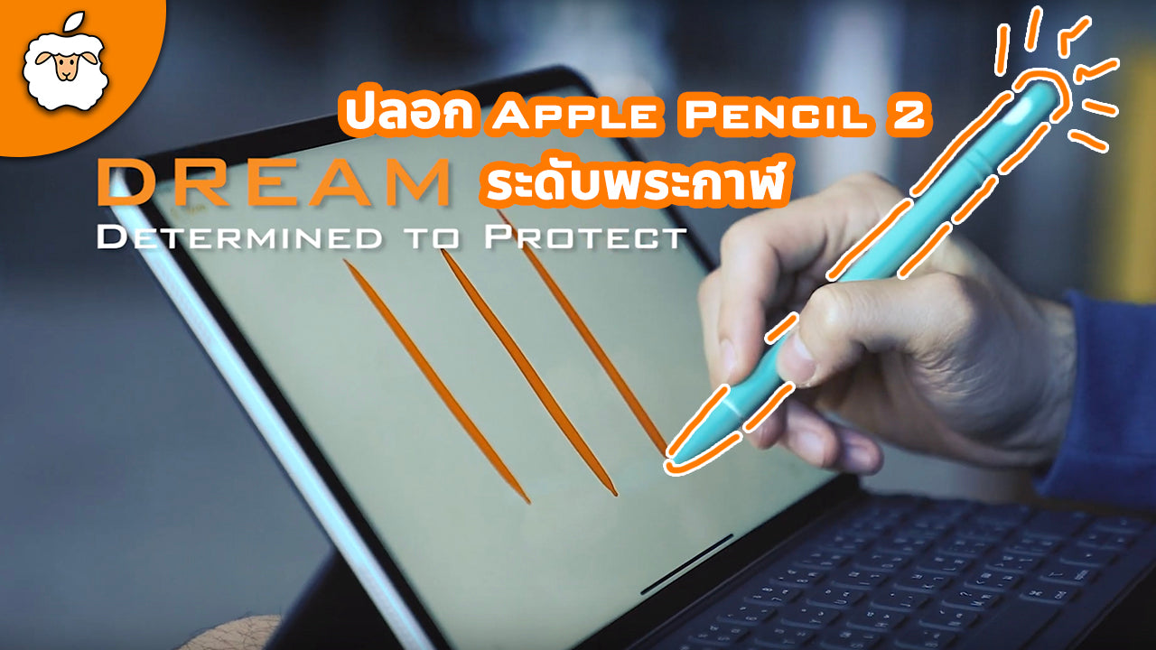 เคส Apple Pencil 2 จากร้าน AppleSheep